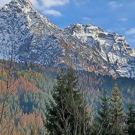 Locanda Da Pierina Санто-Стефано-ді-Кадоре Екстер'єр фото